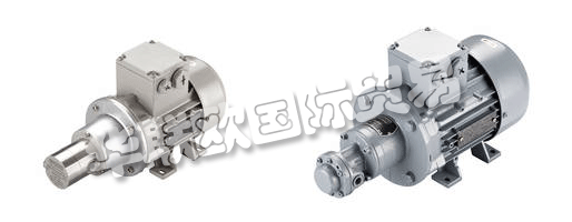 　　SCHERZINGER泵技術(shù)公司制造的移動齒輪泵：物理和個人。