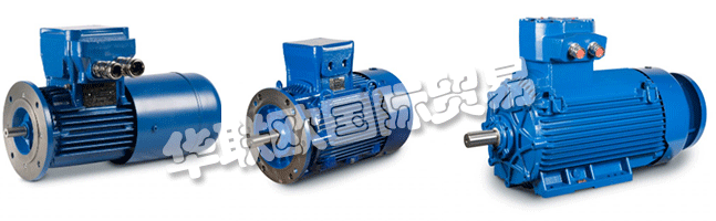 Regal成立于1954年，擁有CEMP?Srl，是意大利首批生產(chǎn)防爆防爆電機的公司之一。