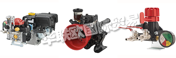 這ANNOVI REVERBERI提出了他多年，因為它開始收緊與認為真正的合作伙伴，