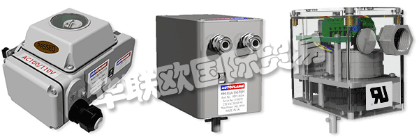 因此被視為AUTOFLAME公司和質(zhì)量管理體系的主要目標。