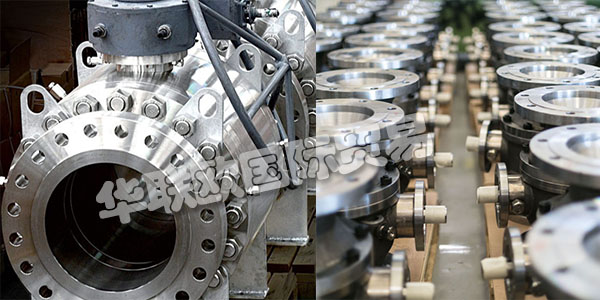 ALFA VALVOLE成立1971年于Casorezzo(米蘭)。在這里，意大利的第一批公司開始專業(yè)生產高質量的工業(yè)球閥。