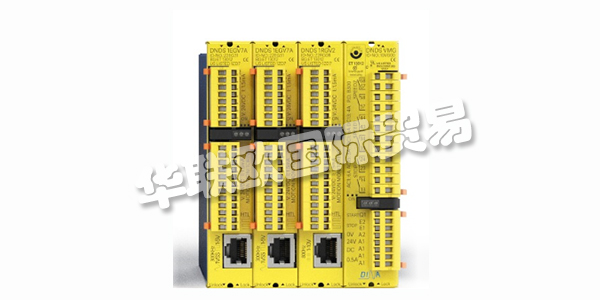 DINA，從友好的鄰里地下室創(chuàng)業(yè)到創(chuàng)新領(lǐng)導(dǎo)者。