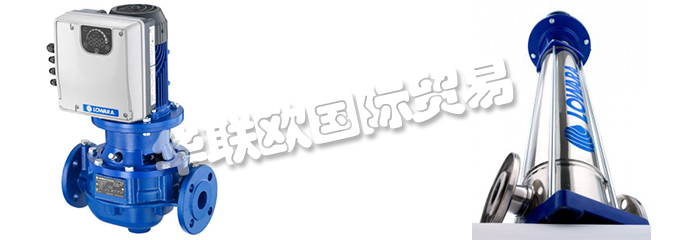 意大利LOWARA是一家專門生產(chǎn)不銹鋼泵的公司，他們提供的產(chǎn)品有：意大利LOWARA泵,、LOWARA水泵、循環(huán)器、端吸泵、多級泵、直列式泵、濕轉(zhuǎn)子循環(huán)器、變速泵、冷凝泵、自吸泵、潛水鉆孔泵、潛水污水和污水泵、潛水式脫水泵、外圍泵、泵控制器、驅(qū)動器、變頻器、控制器、壓力開關(guān)控制器。
