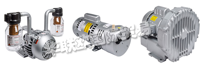 美國GAST公司產(chǎn)品主要包括：GAST壓縮機、GAST真空泵、GAST氣動馬達(dá)、壓縮機、齒輪馬達(dá)、非潤滑氣動馬達(dá)、壓縮機、真空泵、真空發(fā)生器、再生鼓風(fēng)機、蓄熱式鼓風(fēng)機、儲罐系統(tǒng)、干式灑水箱系統(tǒng)、旋片式空氣壓縮機、搖擺式空氣壓縮機、活塞式空氣壓縮機、干式灑水器、無油隔膜空氣壓縮機。