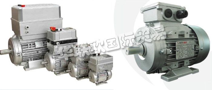 意大利BERMAR公司的主要產(chǎn)品包括：意大利BERMAR電機、BERMAR電動機、異步電機、異步電動機、永磁發(fā)動機、逆變器、伺服通風(fēng)電動機、伺服電動機、工業(yè)洗衣機電動機、單相電動機、DRIVEJET鼓風(fēng)機、高效電機、泵、風(fēng)扇、工業(yè)壓縮機。