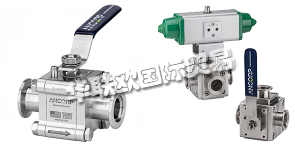 美國ANCORP公司主要供應(yīng)：美國ANCORP閥門,ANCORP過濾器，真空閥，疏水閥，真空球閥，二通球閥，三通球閥，高電導(dǎo)球閥，顆粒分離器，螺栓，螺母，固定環(huán)，夾具等產(chǎn)品。