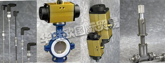 低價(jià)銷售意大利VALAS HOFMANN電導(dǎo)率探頭定量泵