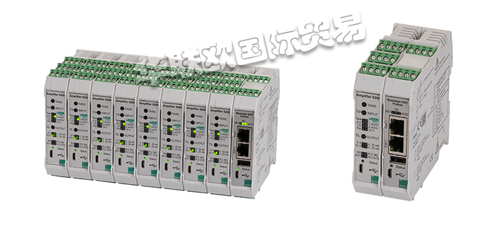 BURSTER放大器,,德國(guó)放大器,德國(guó)BURSTER放大器,9250系列,德國(guó)BURSTER